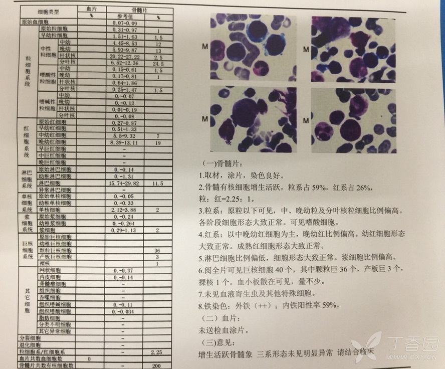 這是血稀的骨穿報告嗎?怎麼判斷