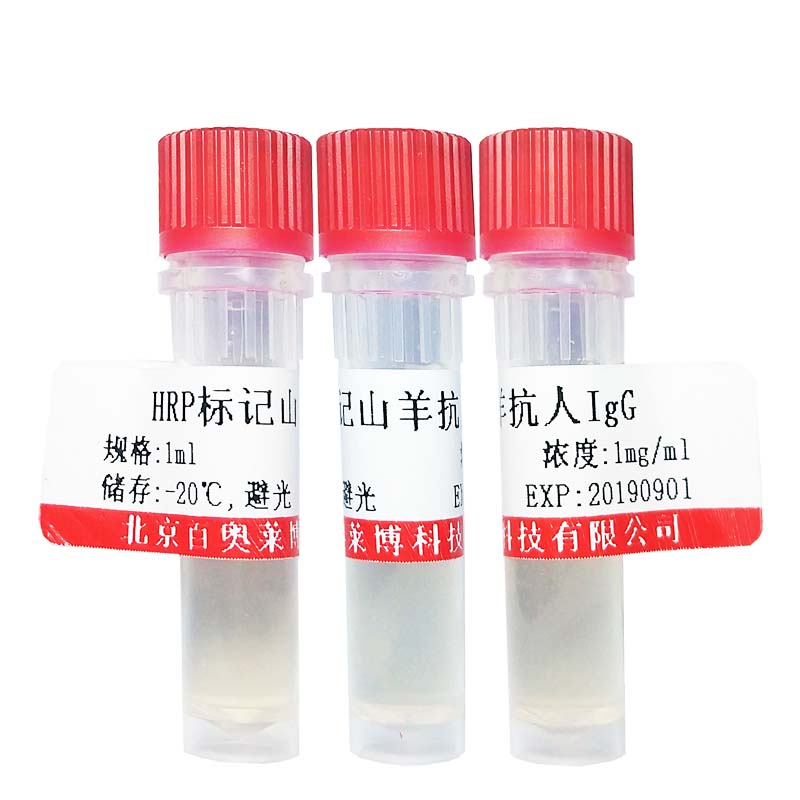 北京K18040型癌基因HKR1抗体报价
