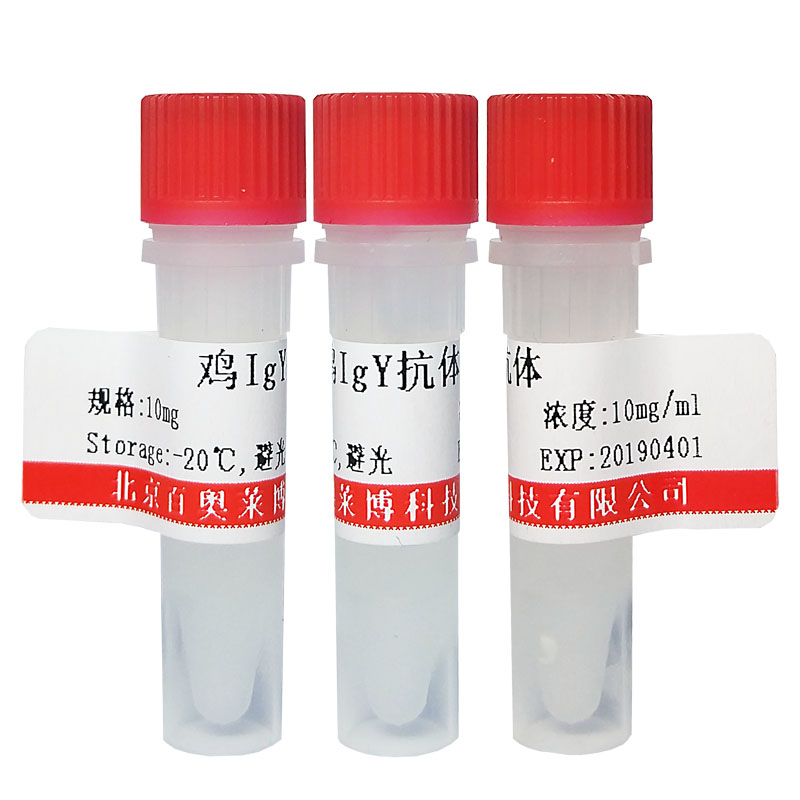 北京PPEF1蛋白抗体品牌
