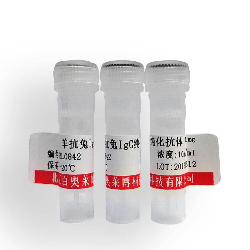 北京硫酯酶超家族成员4抗体厂家价格