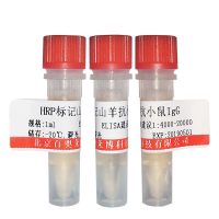 K17333型人类疱疹病毒8抗体优惠