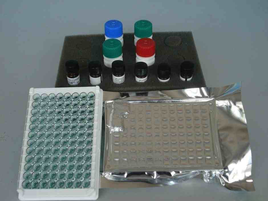 全血乳酸检测试剂盒(乳酸脱氢酶微板法)