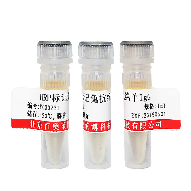 北京K12758型脊髓灰质炎受体相关蛋白1抗体厂家