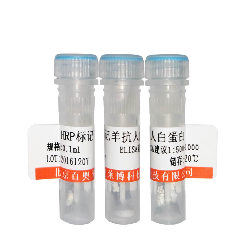 北京现货双同源盒蛋白1抗体供应