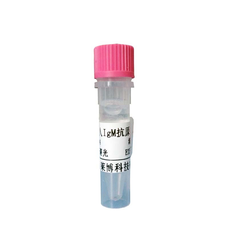北京白介素1α/IL-1α抗体厂家