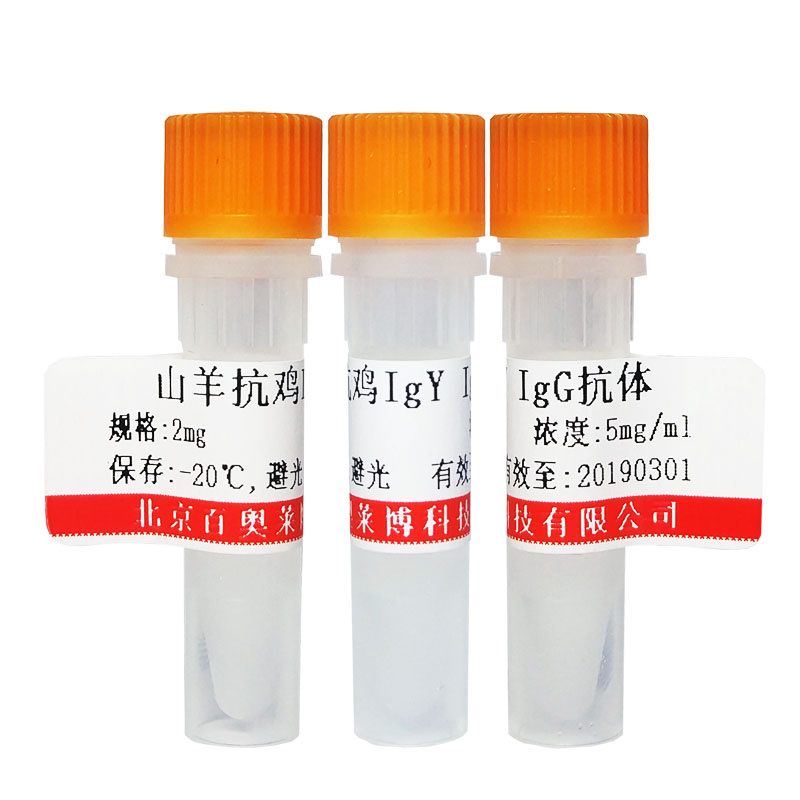 北京CDK5激活结合蛋白1抗体大量库存促销