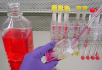 EC9706;人食管癌细胞