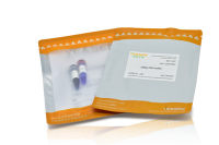 GoldBand 100 bp DNA ladder