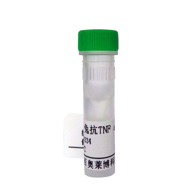 北京白介素-1受体相关激酶2抗体价格厂家