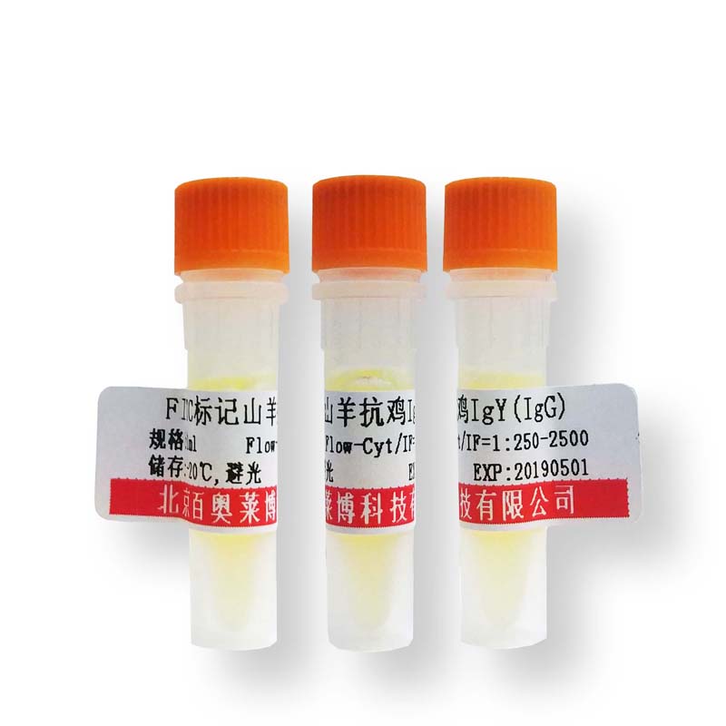 北京现货干扰素诱导跨膜蛋白3抗体(国产,进口)