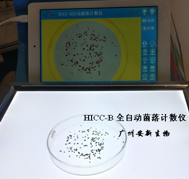菌落计数仪抑菌圈计数仪