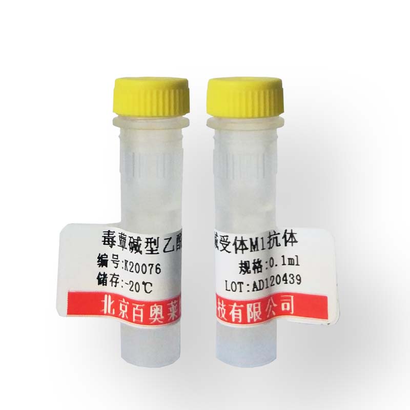 北京线性泛素链相关蛋白SHARPIN抗体厂家