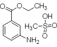 3-乙氧酰基苯胺甲磺酸盐