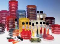 含0.6%酵母膏的胰酪胨大豆肉汤(TSB-YE)颗粒