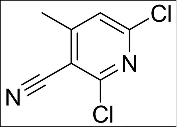 2,6-二氯-3-腈基－4－甲基 吡啶