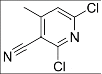 2,6-二氯-3-腈基-4-甲基 吡啶