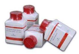 含225ml 缓冲蛋白胨水（BPW）均质袋