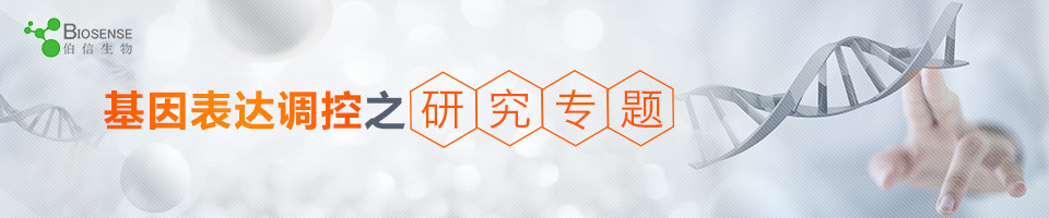 基因表达调控之研究专题