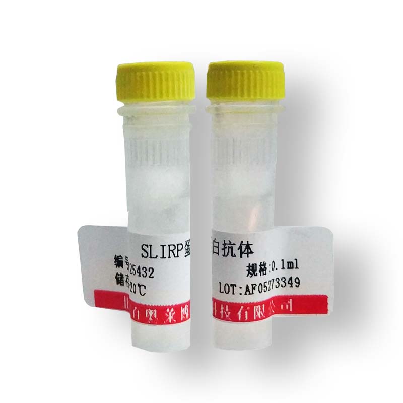 SLC10A3抗体价格