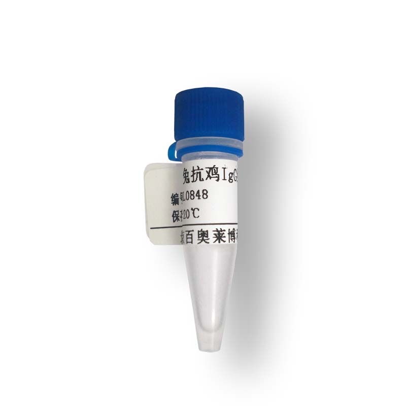 K14607型白喉毒素B抗体(国产,进口)