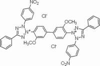 氯化硝基四氮唑蓝