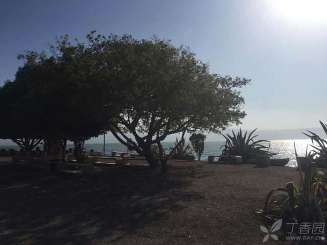 加利利海和约旦河 Sea of Galilee and Jorden R