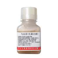 北京羊抗人C3(抗血清)价格