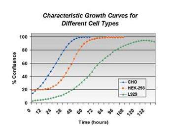 细胞生长曲线、细胞活性