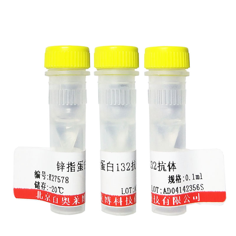 K10776型磷酸化AMPKα 2 (Ser176)抗体优惠