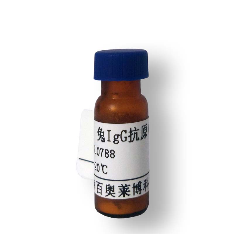 磷酸化PIK3R1(Tyr556)抗体品牌