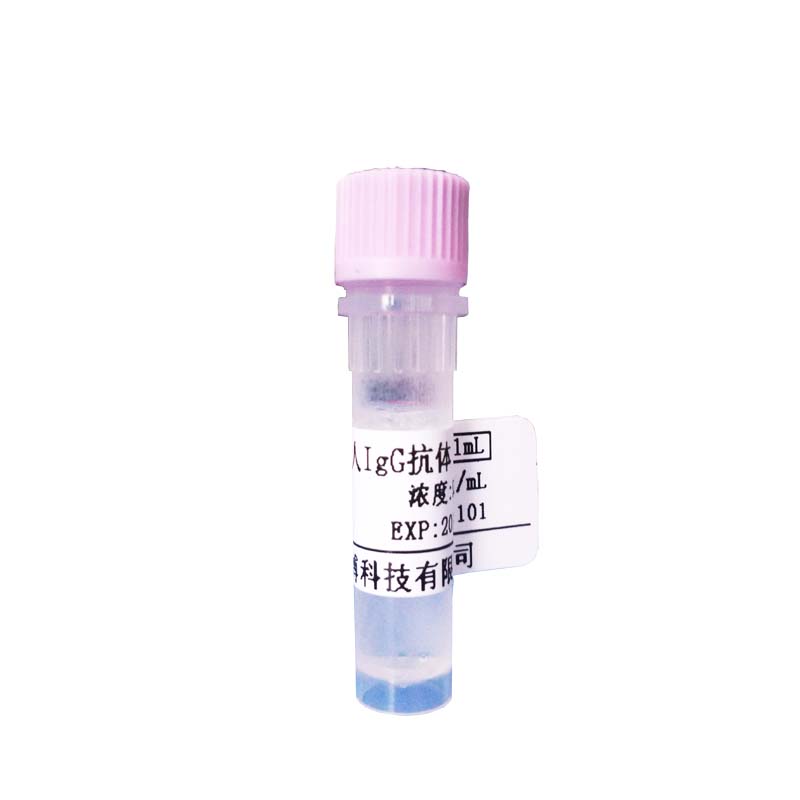 磷酸化TYK3(Tyr402)抗体现货价格