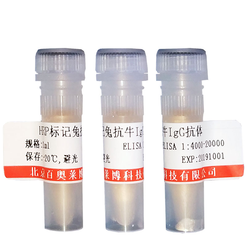 北京A型流感病毒蛋白PA-X抗体价格