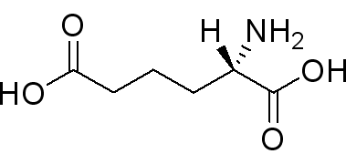 L-α-氨基己二酸