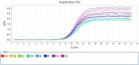 microRNA荧光定量PCR