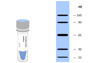 Northern blot Marker-DIG/Biotin