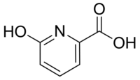 6-羟基吡啶-2-羧酸