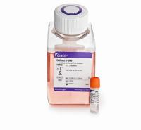 Keratinocyte-SFM 上皮细胞培养基