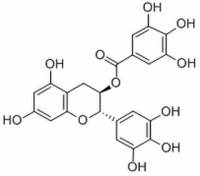 没食子酸儿茶素没食子酸酯