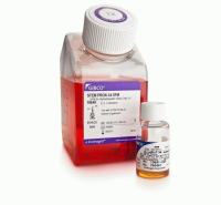 StemPro™-34 SFM (1X) 造血干 脐带血细胞培养