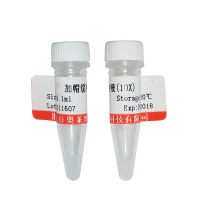MDMX小分子抑制剂(SJ-172550)打折促销