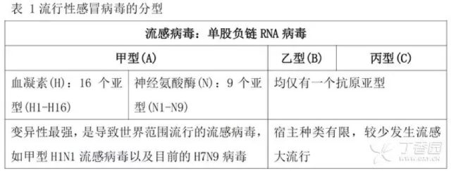 抗病毒药有哪些 冬天高发：一般伤风仍是流感？抗病毒药怎么运用？