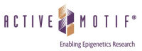 Active Motif