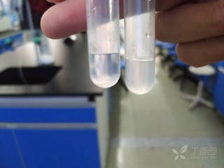 什么情况才能做试管 3252251360162544276-8w.jpg