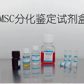 MSC诱导分化技术与产品