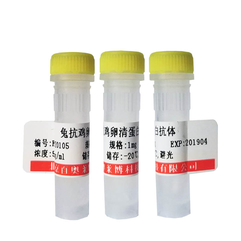 北京K21635型NSF抗体促销