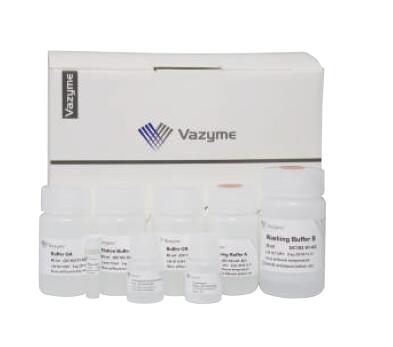 细胞/组织基因组DNA提取试剂盒 FastPure Cell/Tissue DNA Isolation Mini Kit（DC102）