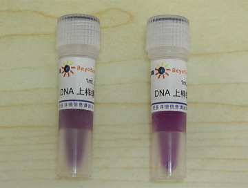 DNA电泳 DNA上样缓冲液 EB替代产品