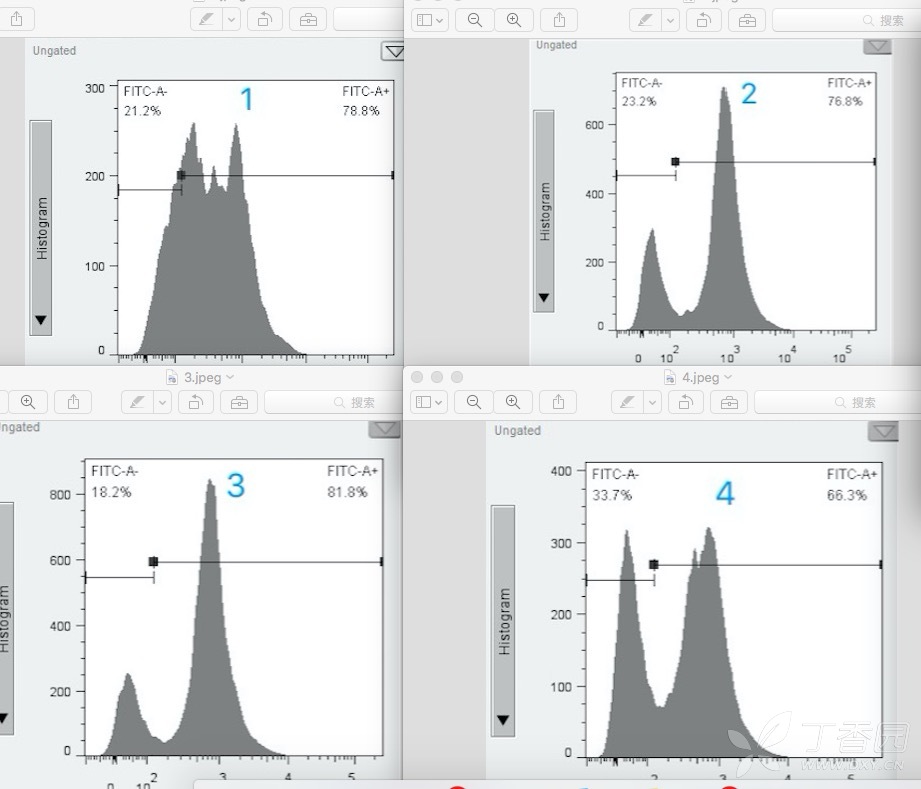 对应的cfse流式结果如下