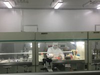 生物实验外包服务 分子生物相关实验 引物合成 免疫组化实验