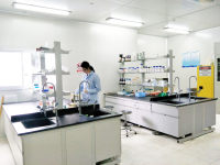 脂肪干细胞培养、心肌成纤维细胞培养、软骨细胞培养、血管内皮细胞培养